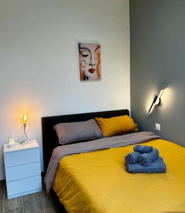 Chic Renovated 2 Bedroom Entire Or Only Private In Liberation In With Garage On Demand, Ac, Wi-fi And Tram Access * Nizza