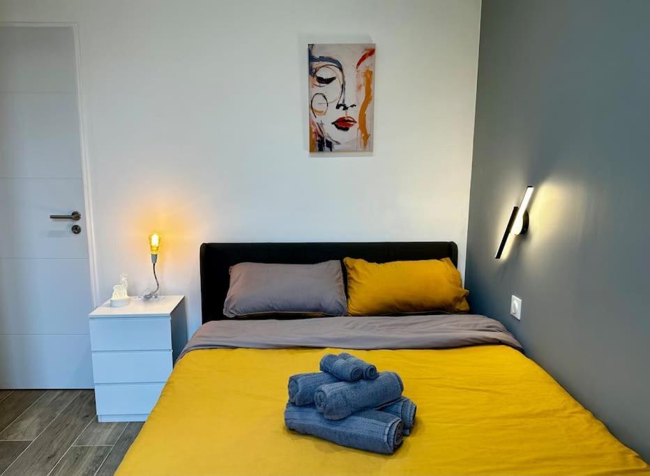 Appartement Chic Renovated 2 Bedroom Entire Or Only Private In Liberation In With Garage On Demand, Ac, Wi-fi And Tram Access