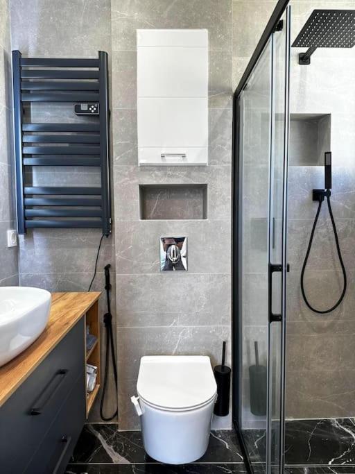 Chic Renovated 2 Bedroom Entire Or Only Private In Liberation In With Garage On Demand, Ac, Wi-fi And Tram Access Nizza