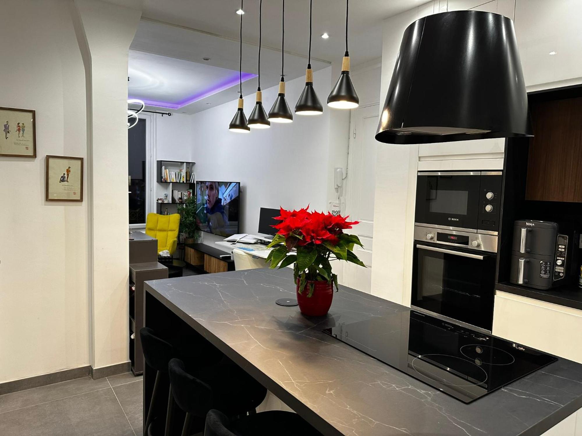 Chic Renovated 2 Bedroom Entire Or Only Private In Liberation In With Garage On Demand, Ac, Wi-fi And Tram Access
